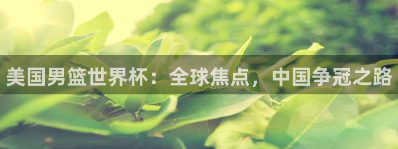 世界杯2026预选赛:美国男篮世界杯:全球焦点,中国争冠之路